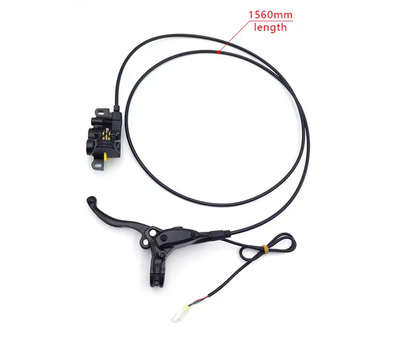 Surron LBX Assembly