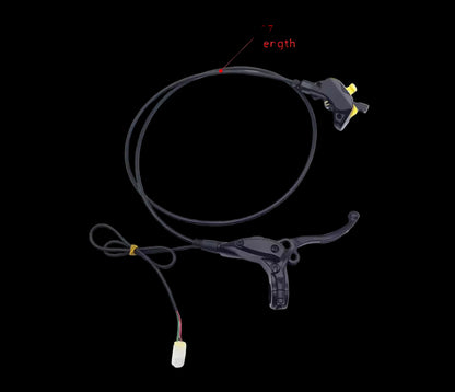 Surron LBX Assembly